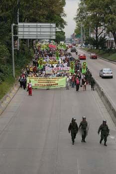 IMGP8073